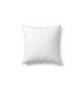 Throw Pillow Insert 50x50cm