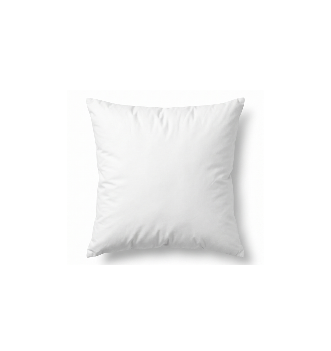 Throw Pillow Insert 50x50cm
